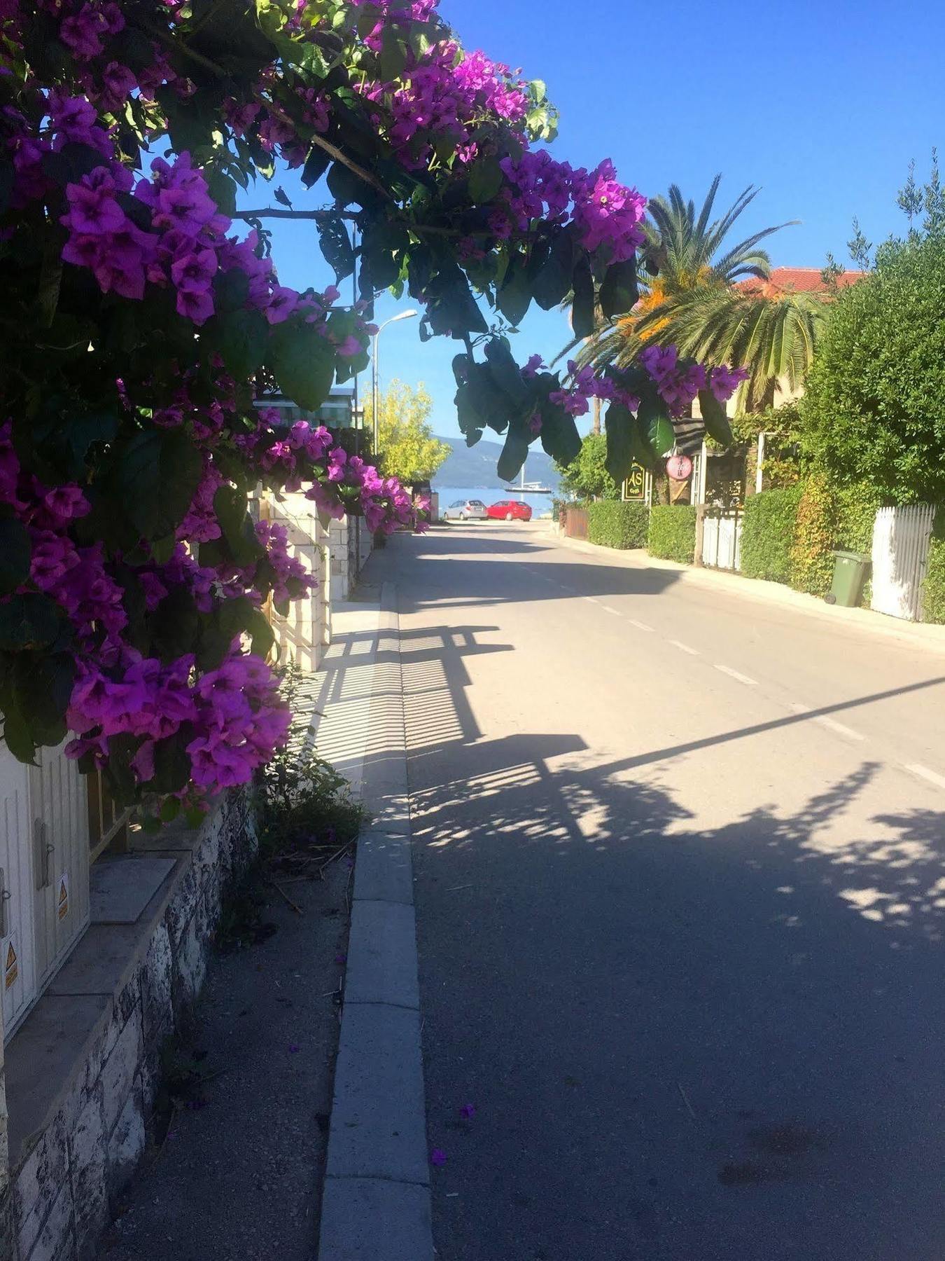 Boutique Hotel Villa Royal Tivat Ngoại thất bức ảnh
